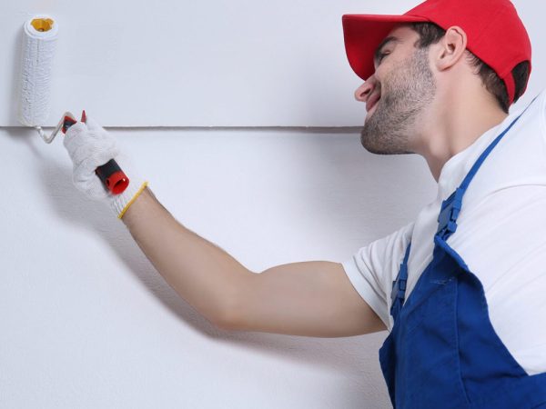 32lftrmy9228bw97bsp09noh4xdsrsbj